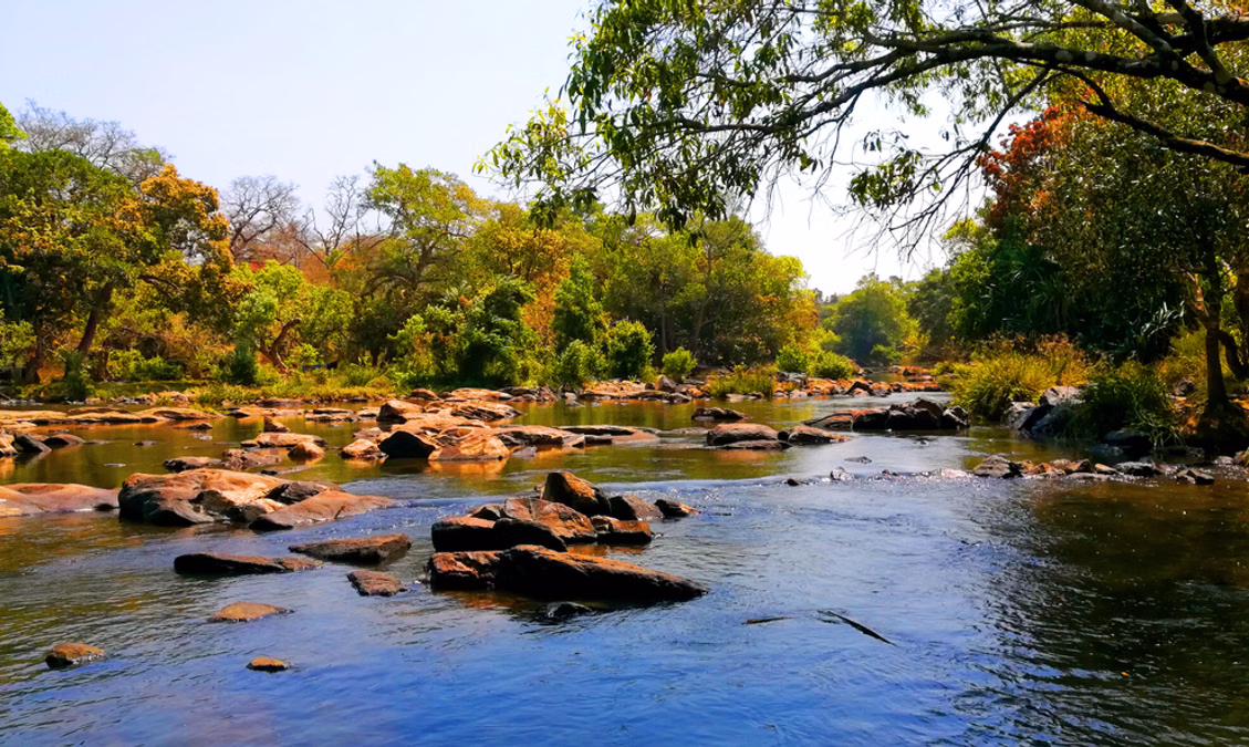 Kuruva Island